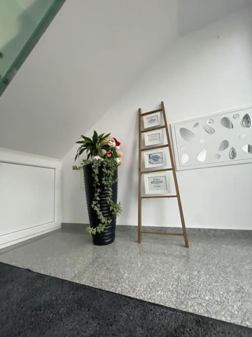 Apartament Timisoara 6 Kültér fotó